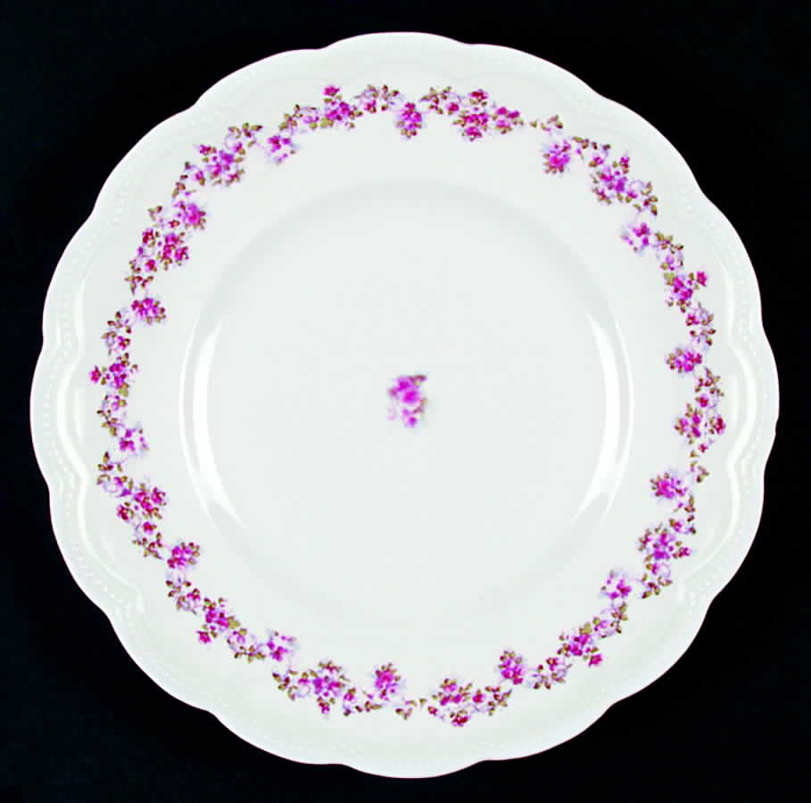 JB250 Dinner Plate by Johnson Brothers-1
