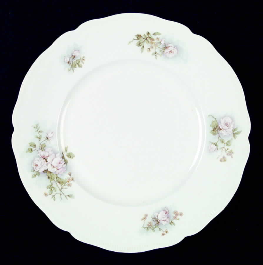 JB252 Dinner Plate by Johnson Brothers-1