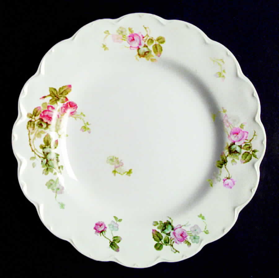 JB257 Dinner Plate by Johnson Brothers-1