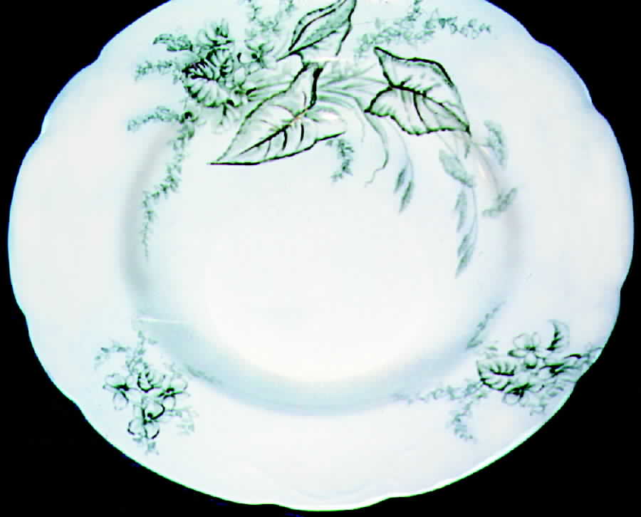 JB259 Rim Soup Bowl by Johnson Brothers-1