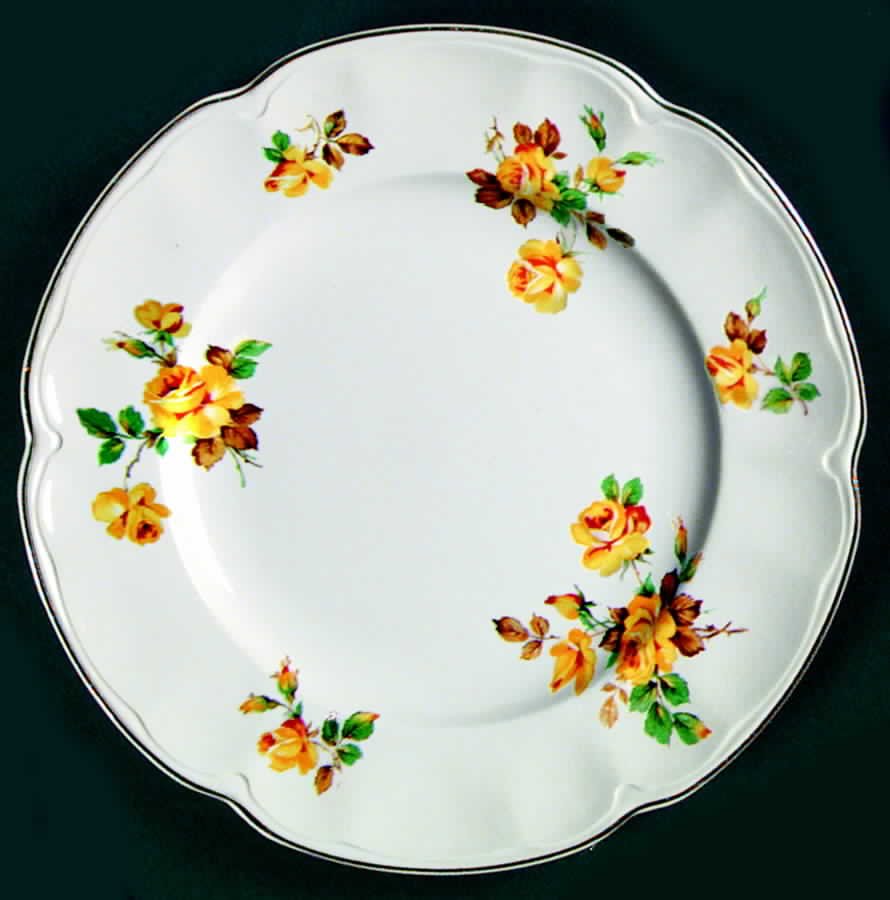 JB260 Dinner Plate by Johnson Brothers-1