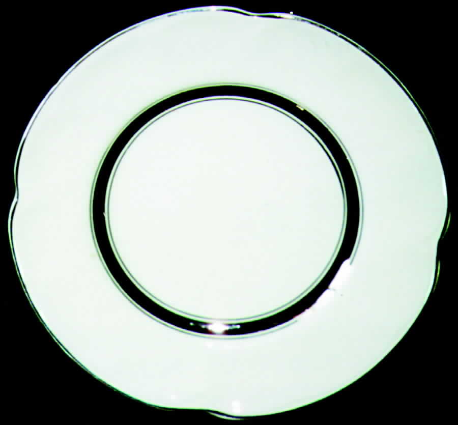 JB268 Dinner Plate by Johnson Brothers-1