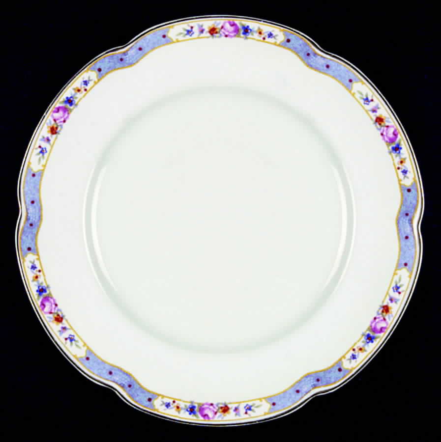 Douglas Dinner Plate by Johnson Brothers-1