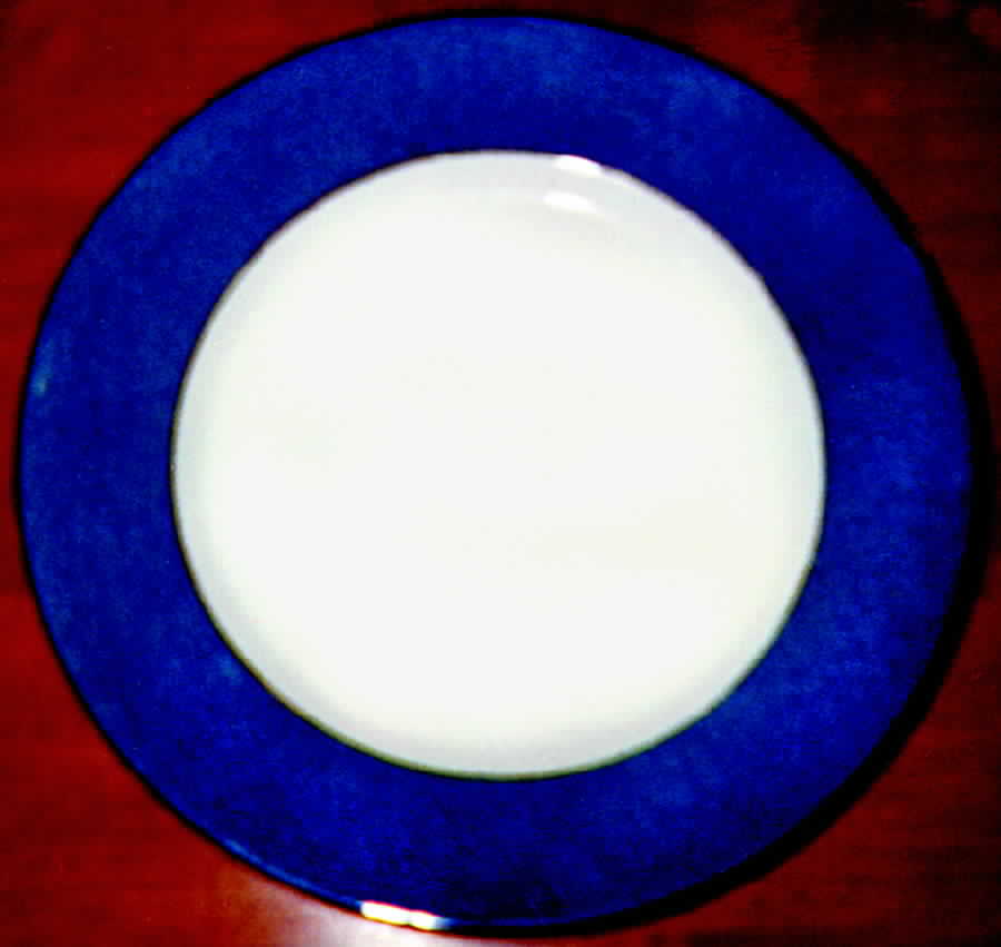 JB280 Dinner Plate by Johnson Brothers-1