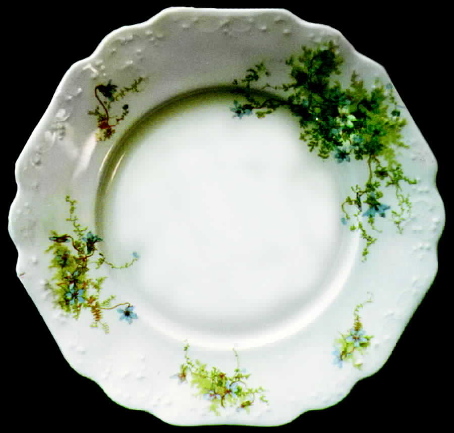 JB291 Dinner Plate by Johnson Brothers-1
