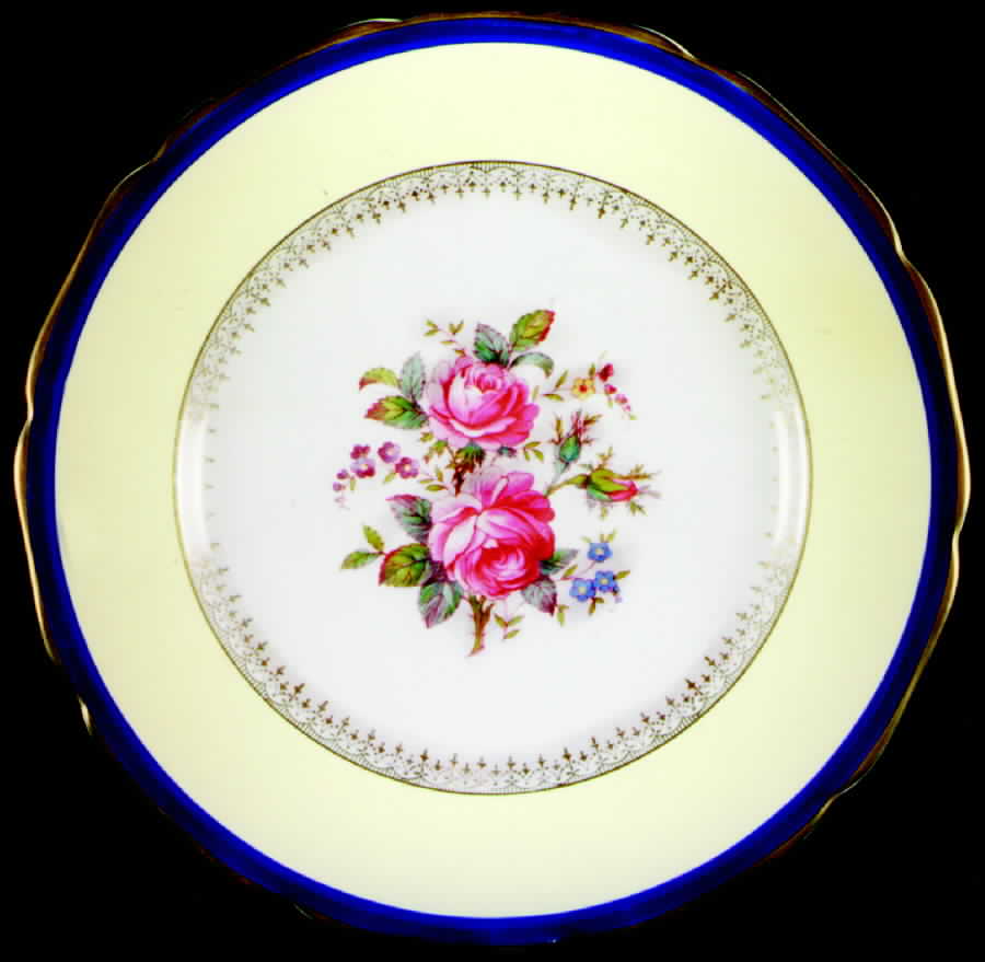 JB293 Dinner Plate by Johnson Brothers-1