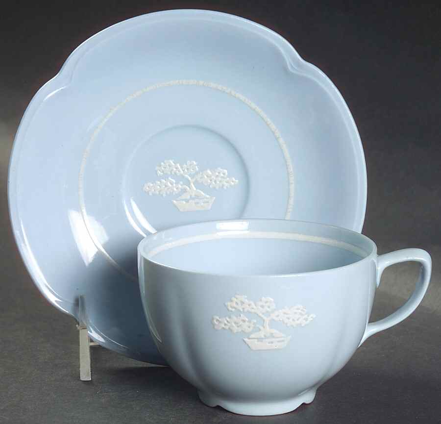 JB35 Flat Cup & Saucer Set by Johnson Brothers-1
