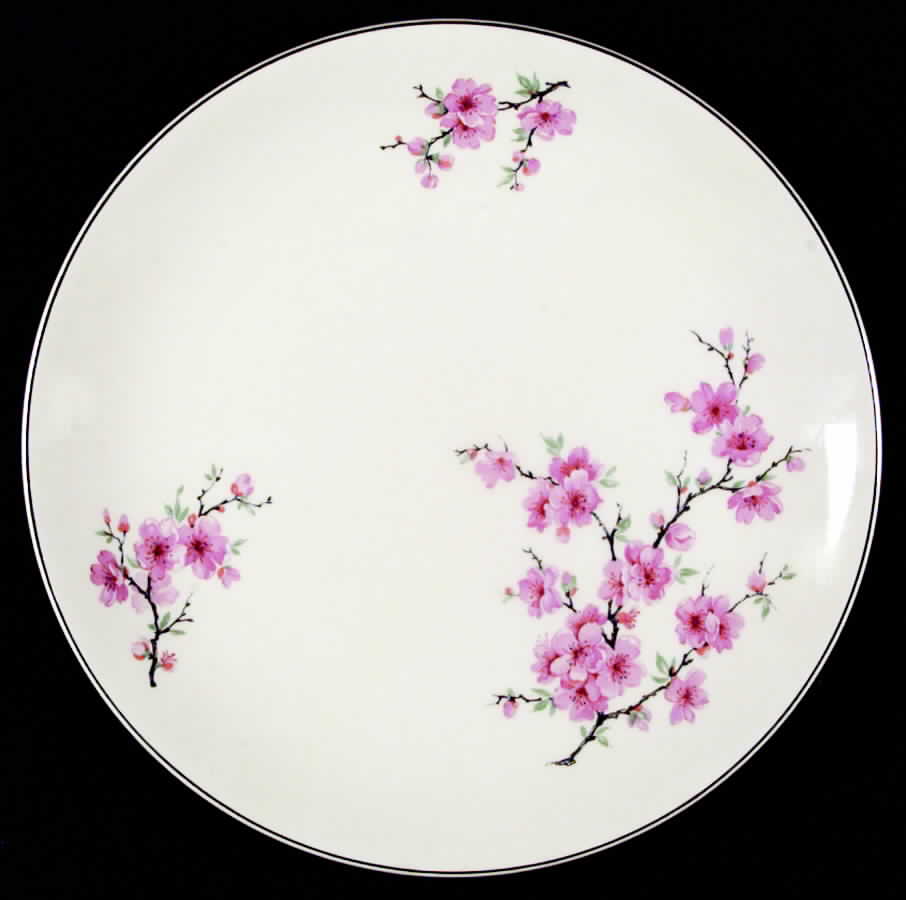 JB53 Dinner Plate by Johnson Brothers-1
