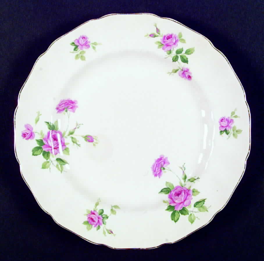 JB65 Dinner Plate by Johnson Brothers-1