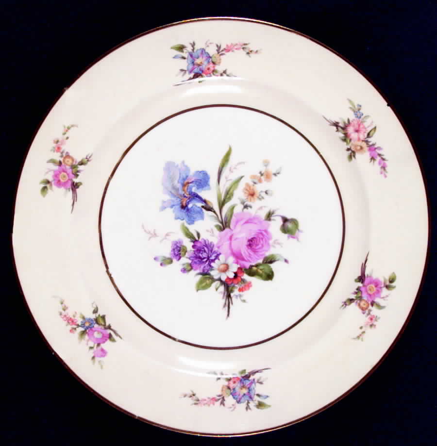 JB82 Dinner Plate by Johnson Brothers-1