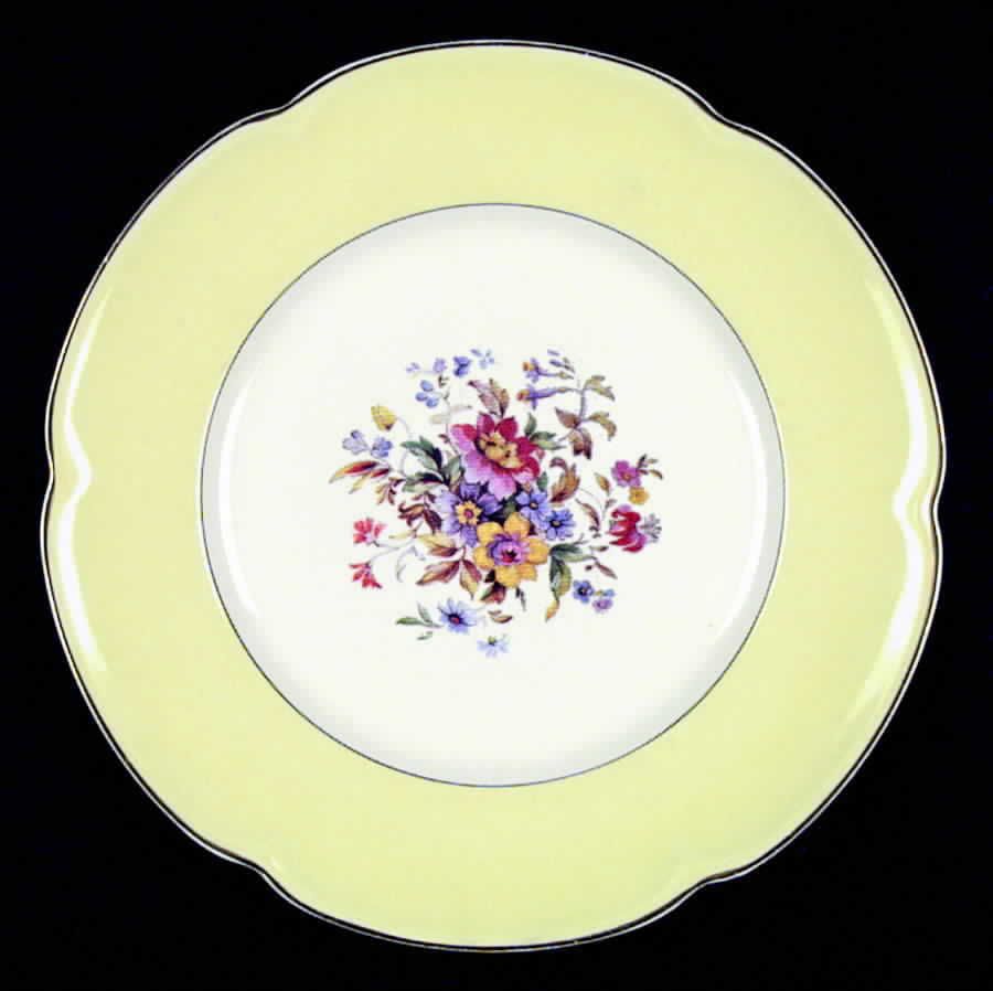 JB84 Dinner Plate by Johnson Brothers-1