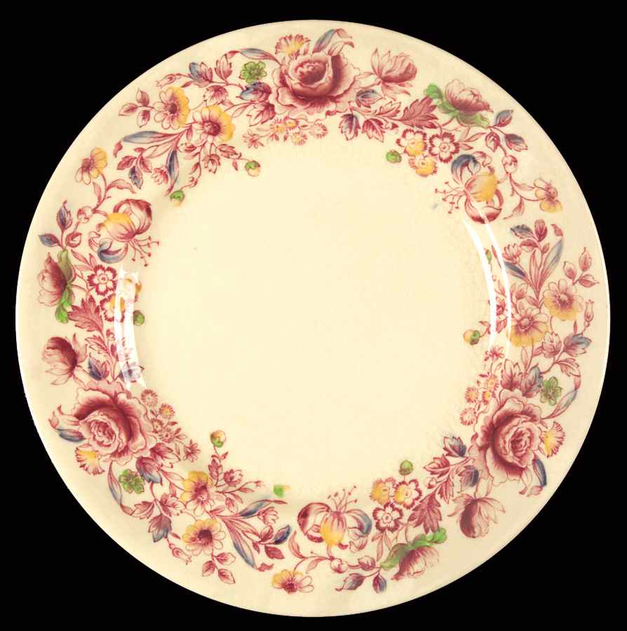 Kew Gardens Salad Plate by Johnson Brothers-1