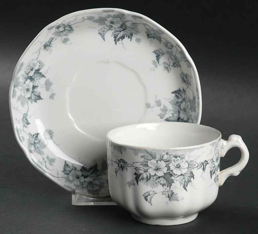 Leighton Blue Flat Cup & Saucer Set by Johnson Brothers-1