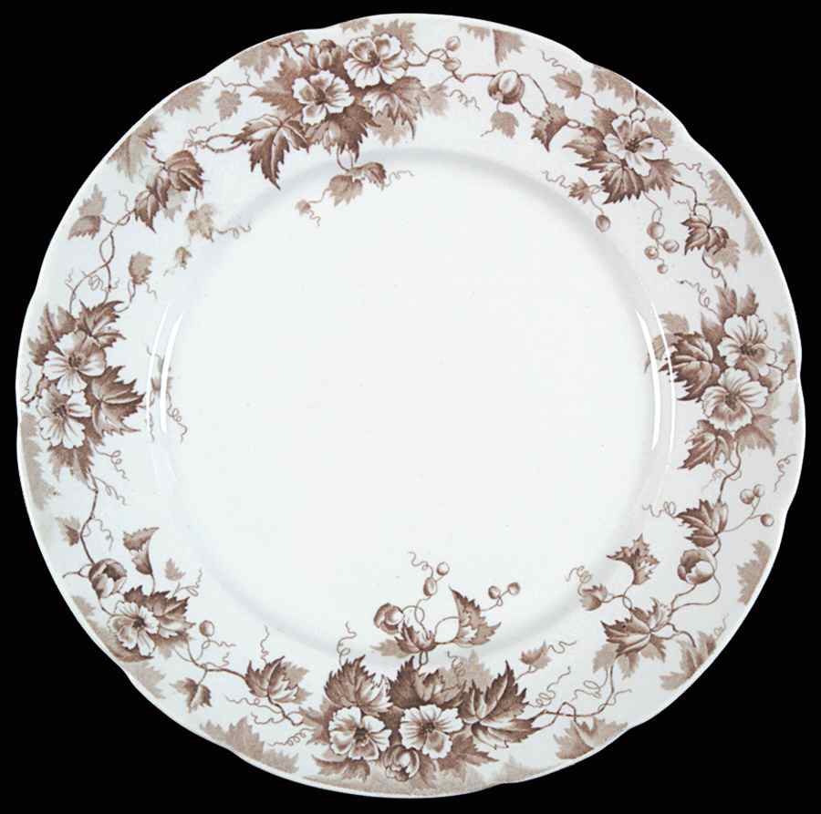 Leighton Brown Luncheon Plate by Johnson Brothers-1