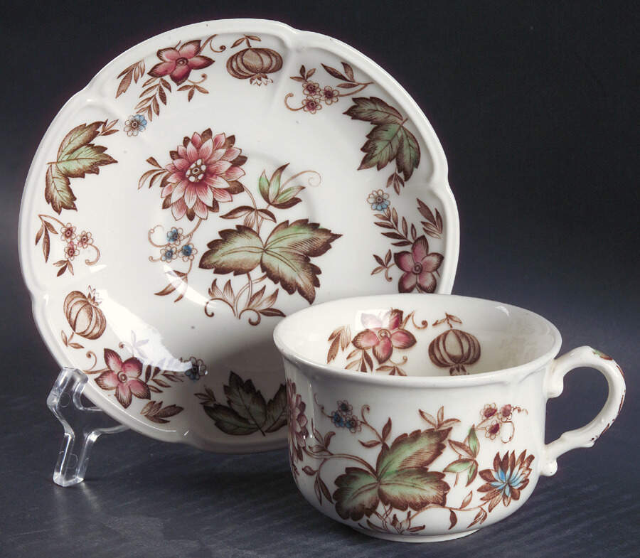 Malvern Brown Multicolor Flat Cup & Saucer Set by Johnson Brothers-1