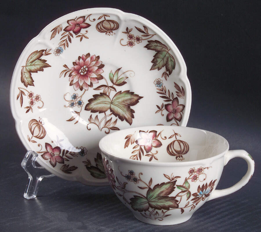 Malvern Brown Multicolor Flat Cup & Saucer Set by Johnson Brothers-1