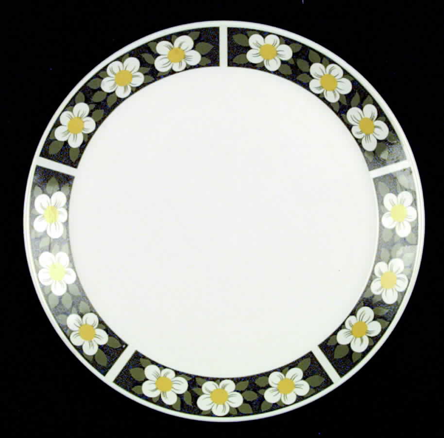 Meadowbrook Dinner Plate by Johnson Brothers-1