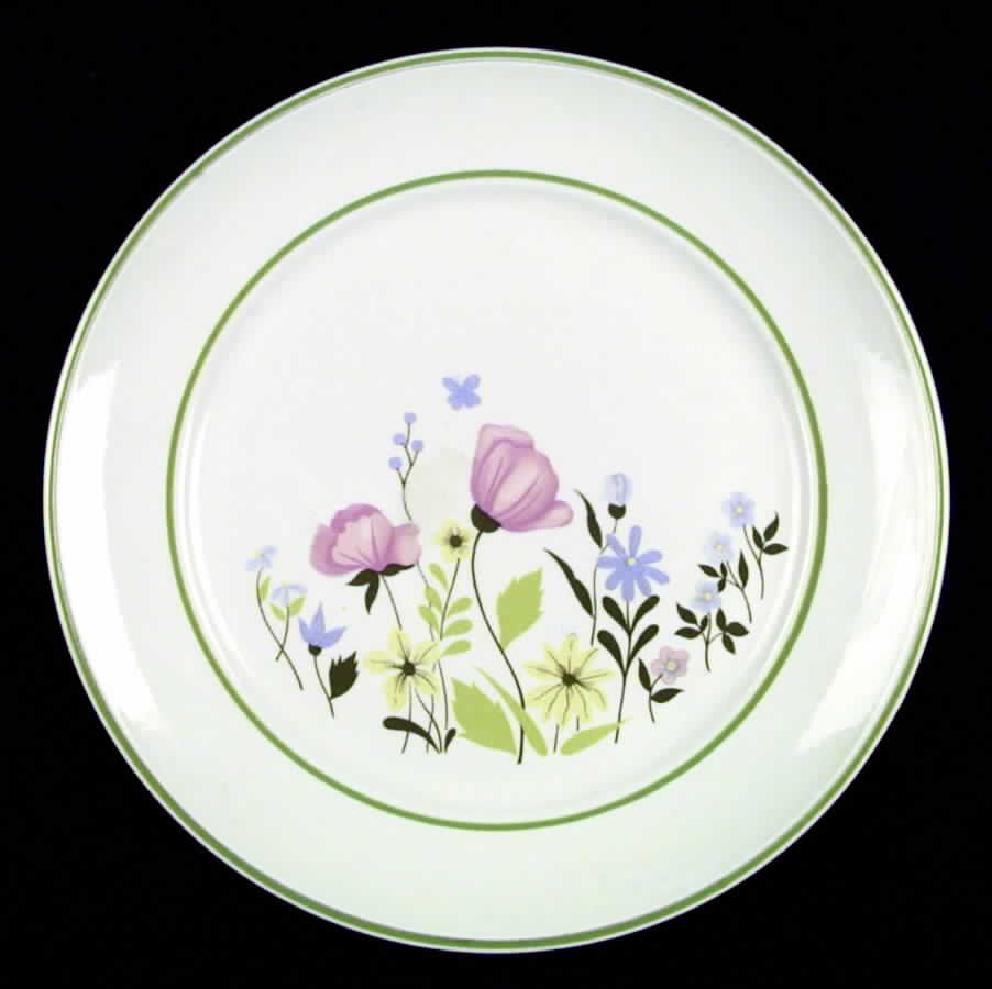 Meadow Lane Dinner Plate by Johnson Brothers-1