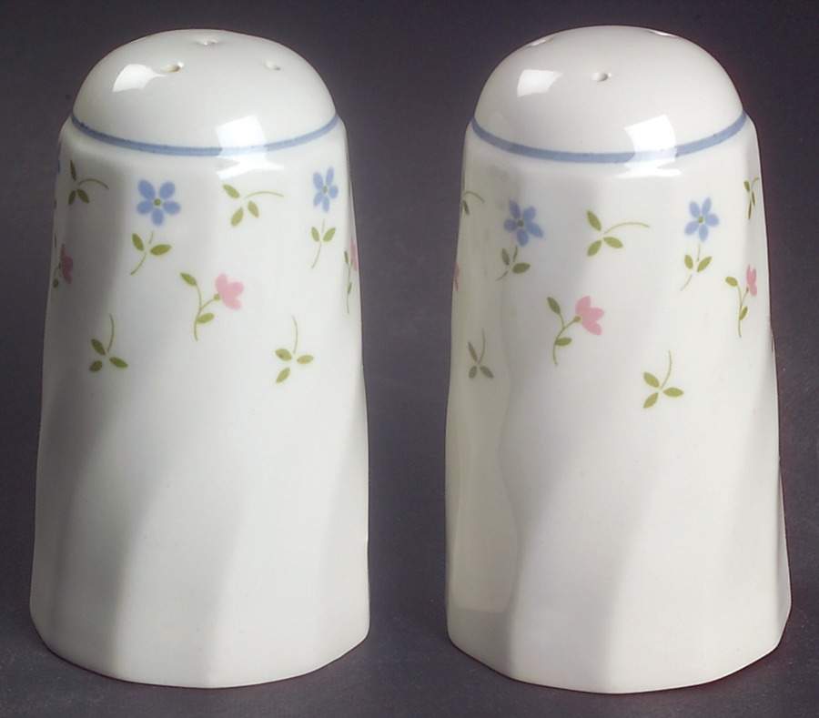 Melody Salt & Pepper Set by Johnson Brothers-1