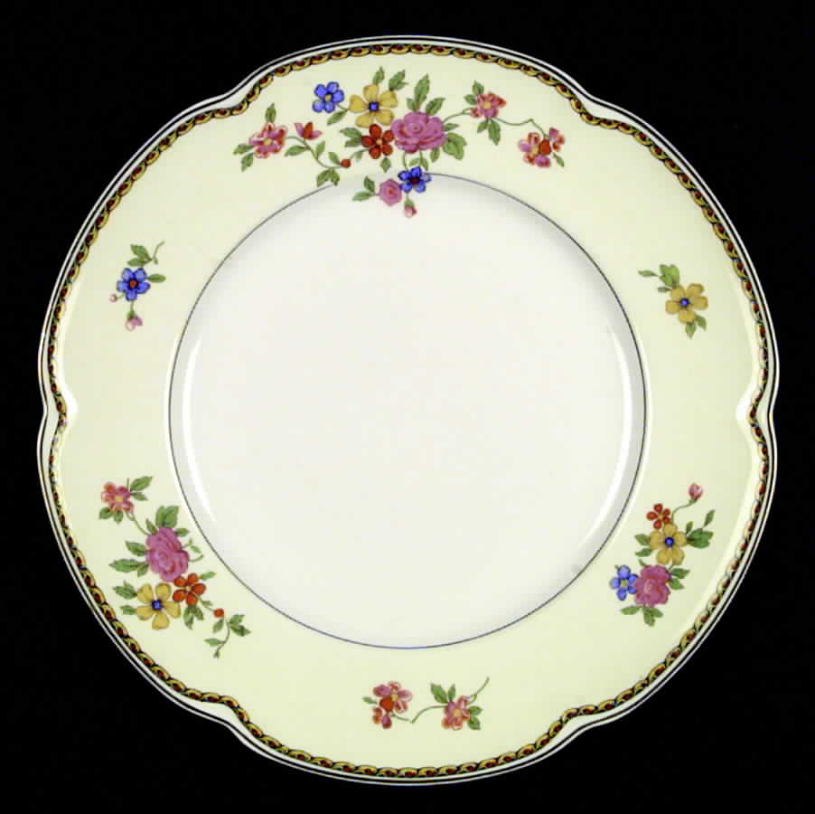 The Monterey (Pareek) Dinner Plate by Johnson Brothers-1