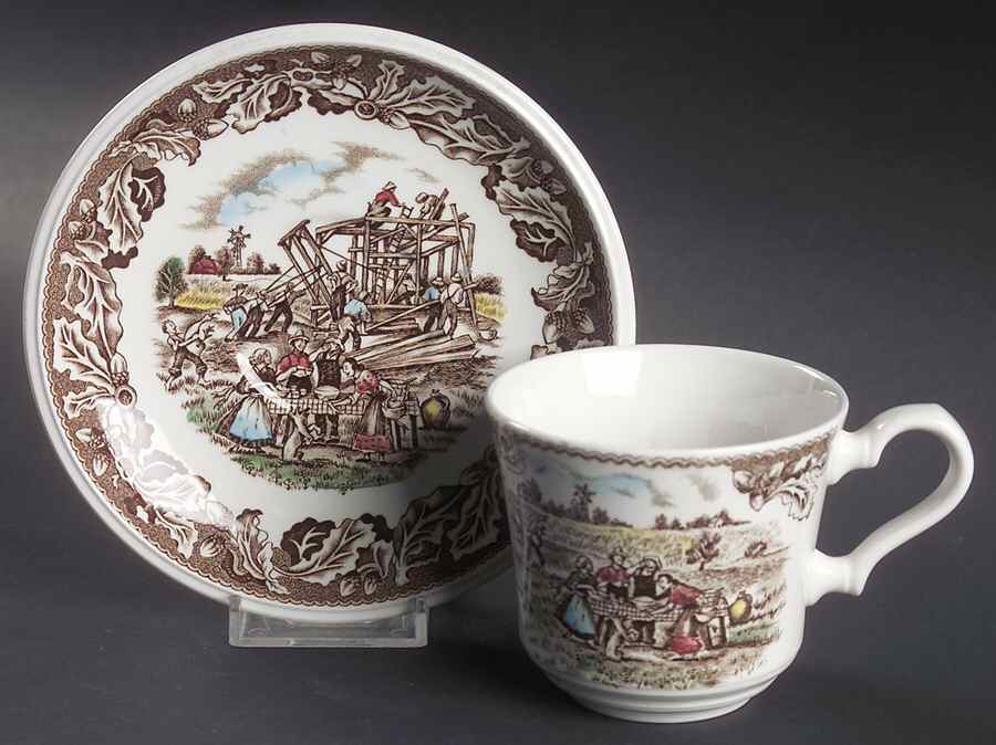 Neighbors Flat Cup & Saucer Set by Johnson Brothers-1