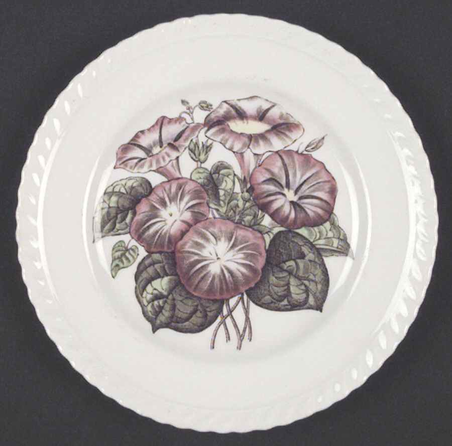 Old Flower Prints Bread & Butter Plate by Johnson Brothers-1