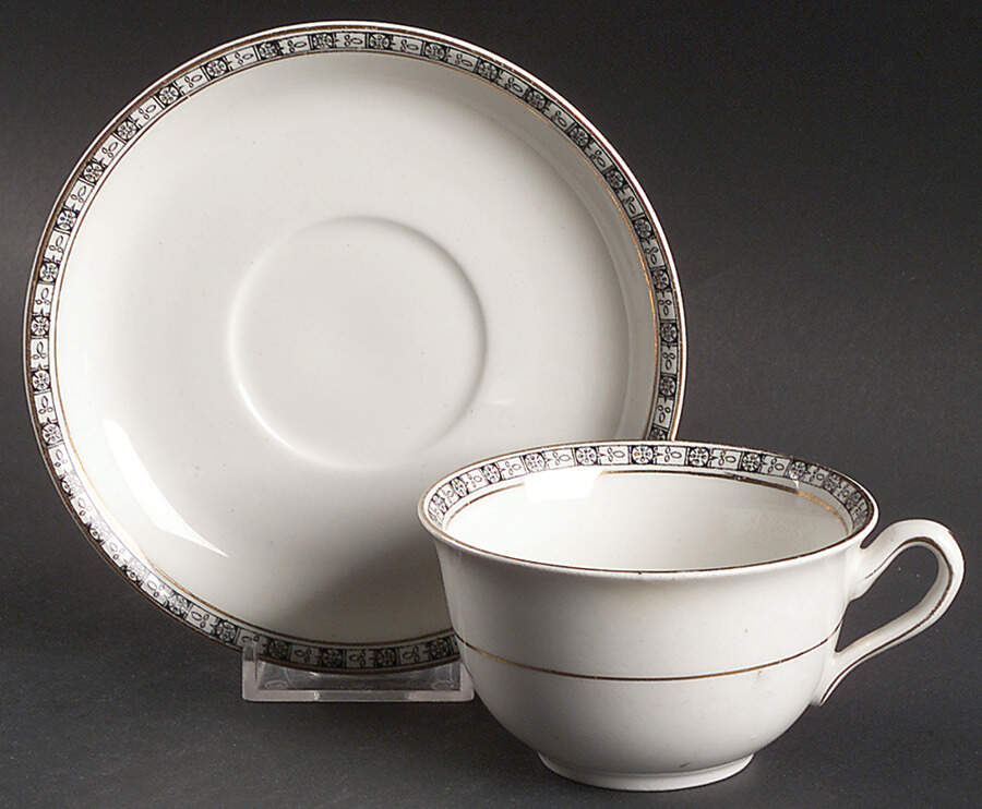 The Orkney Flat Cup & Saucer Set by Johnson Brothers-1