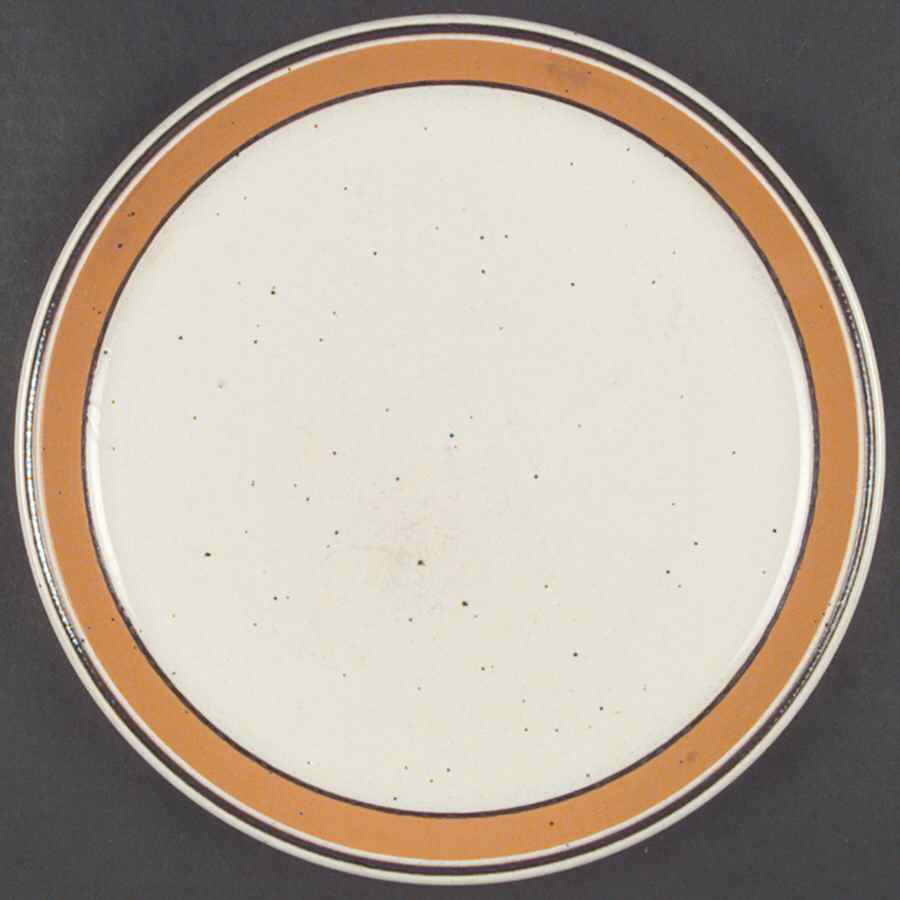 Papaya Dinner Plate by Johnson Brothers-1