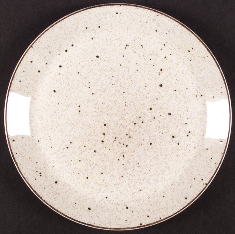 Patio Brown Dinner Plate by Johnson Brothers-1