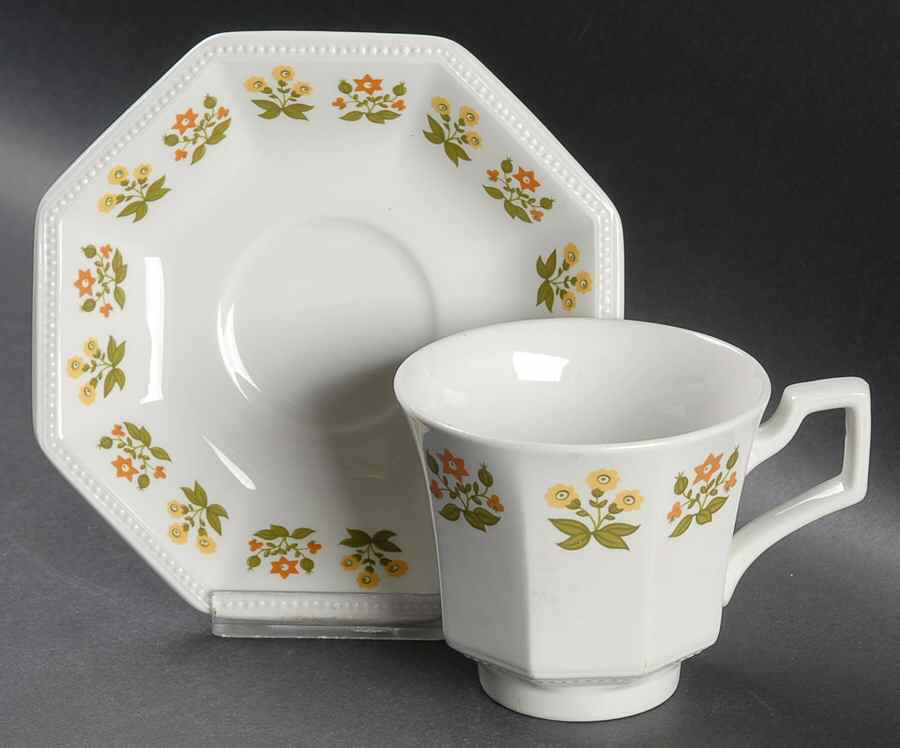 Posy Flat Cup & Saucer Set by Johnson Brothers-1