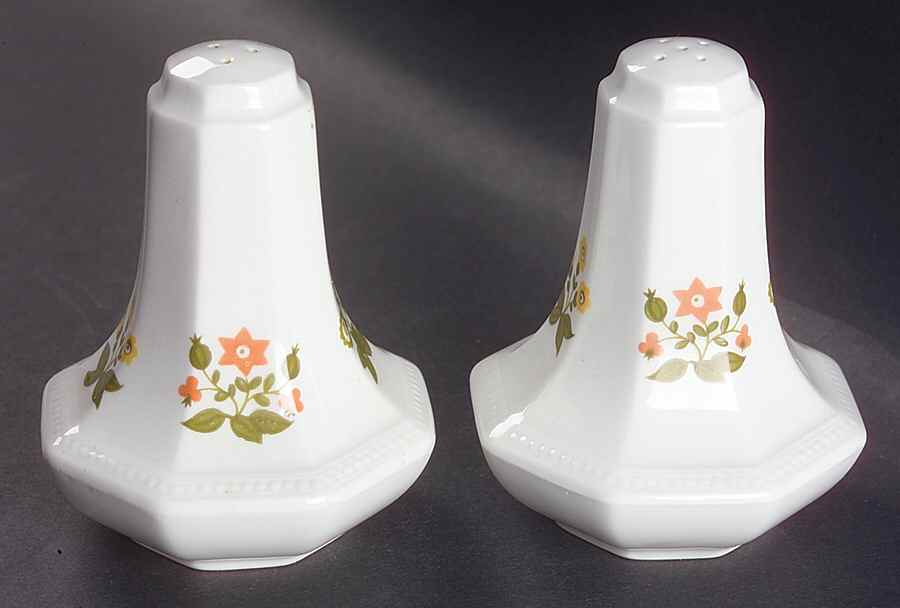 Posy Salt & Pepper Set by Johnson Brothers-1