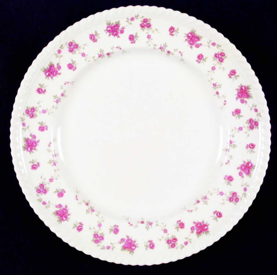 Rambler Rose Dinner Plate by Johnson Brothers-1