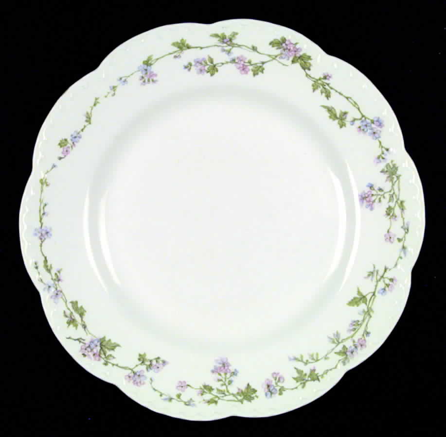 The Regent Dinner Plate by Johnson Brothers-1