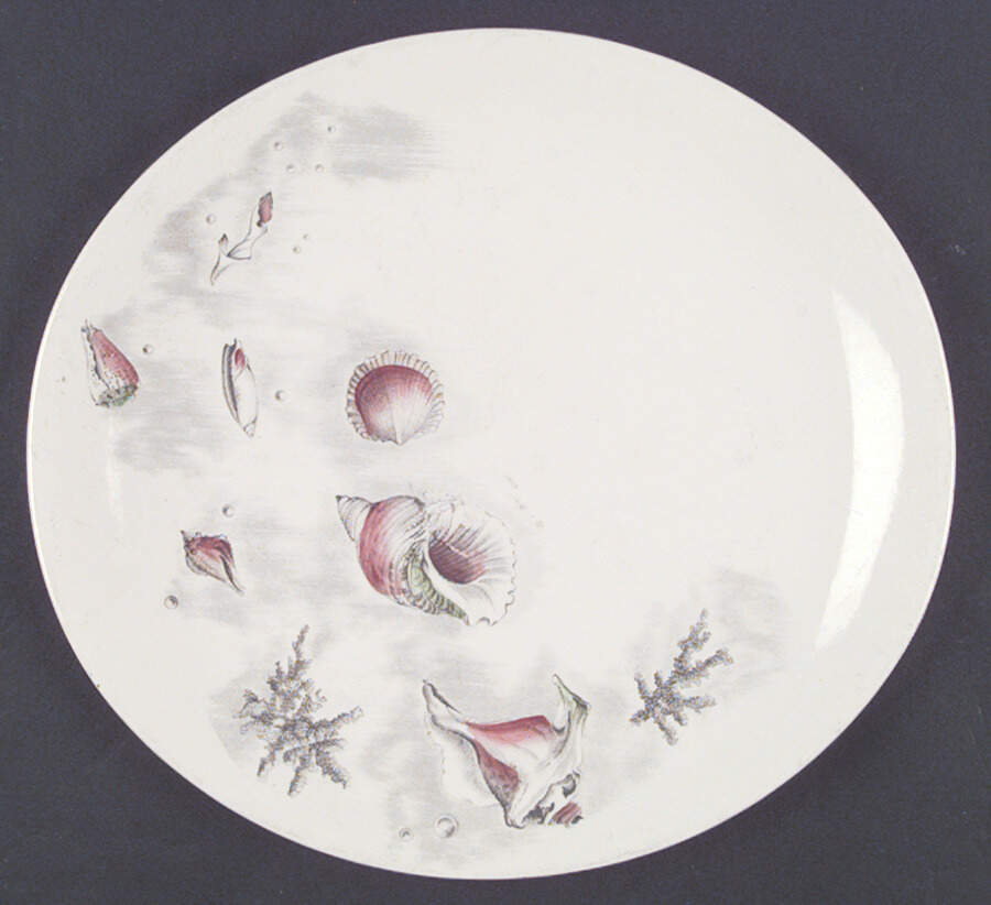 Romance of The Sea Dinner Plate by Johnson Brothers-1