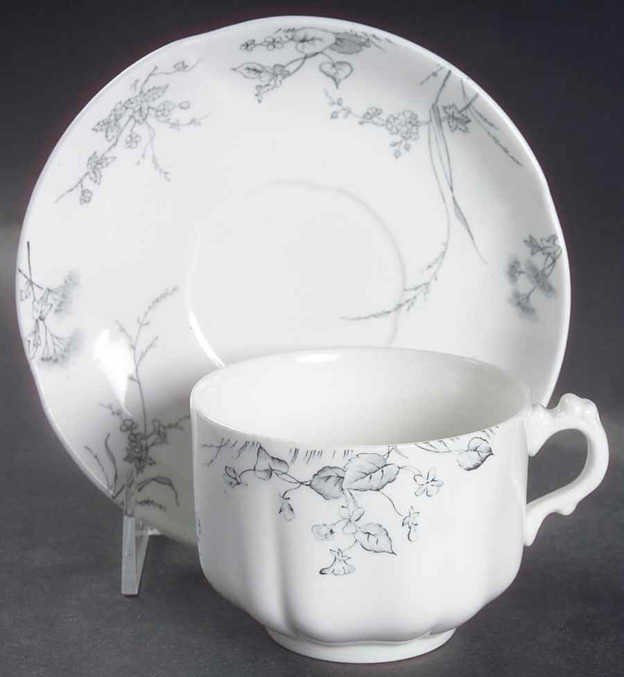 Rosedale Flat Cup & Saucer Set by Johnson Brothers-1