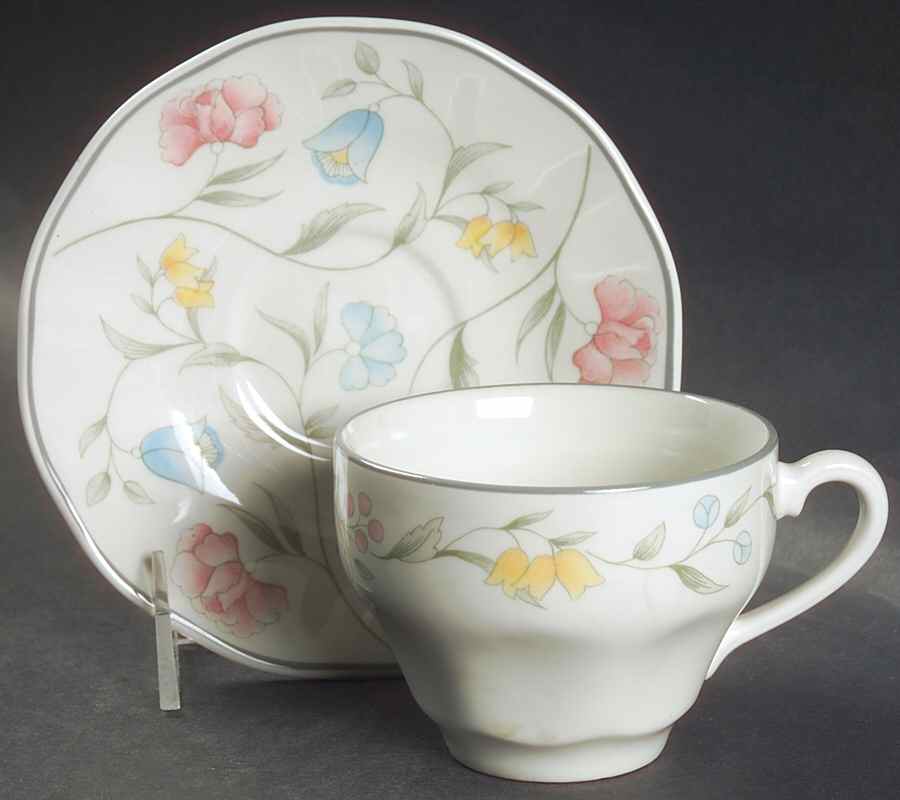Savoy Multicolor (Newer, Floral) Flat Cup & Saucer Set by Johnson Brothers-1