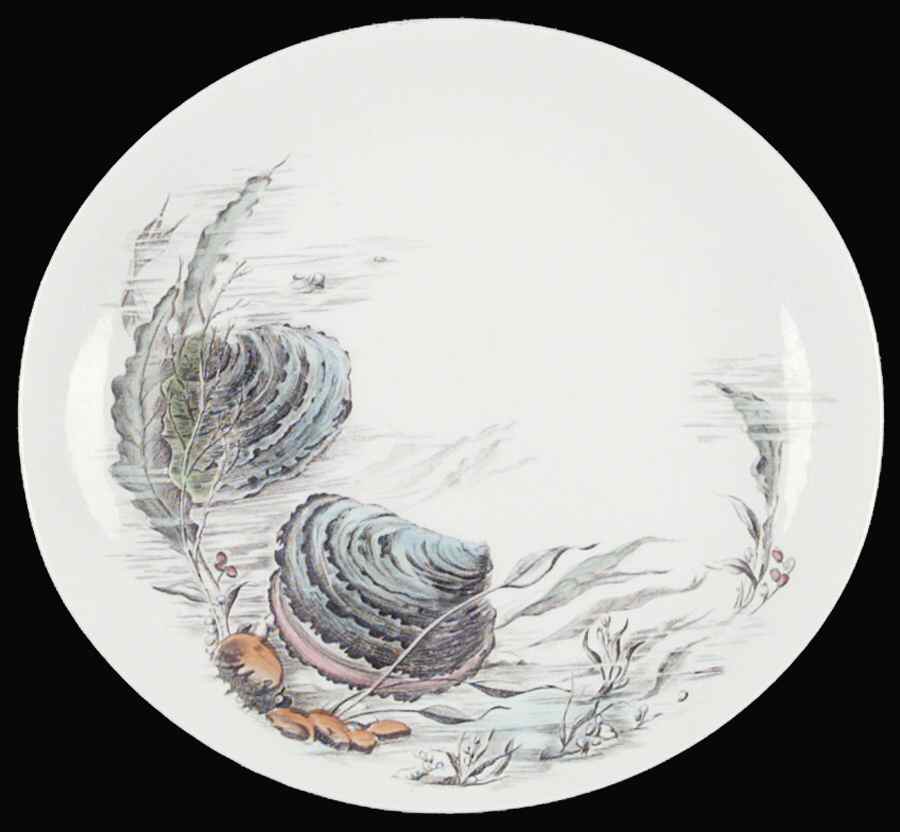Seafare Dinner Plate by Johnson Brothers-1