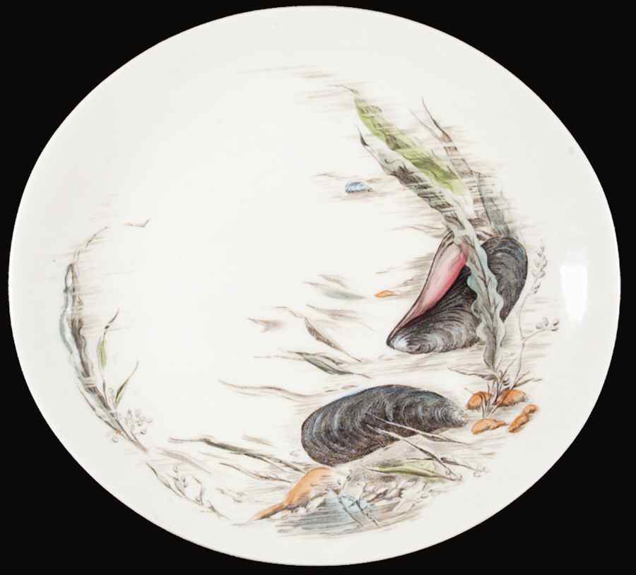 Seafare Dinner Plate by Johnson Brothers-1
