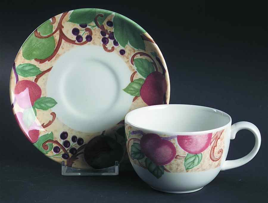 Somerton Flat Cup & Saucer Set by Johnson Brothers-1
