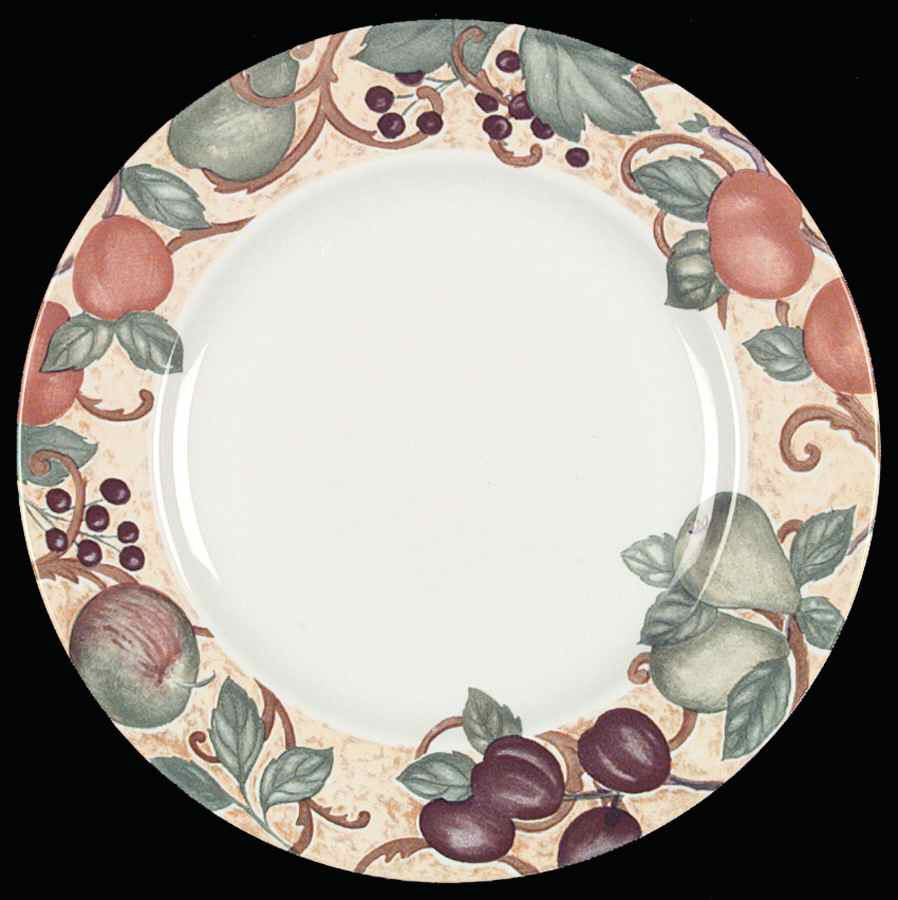 Somerton Dinner Plate by Johnson Brothers-1