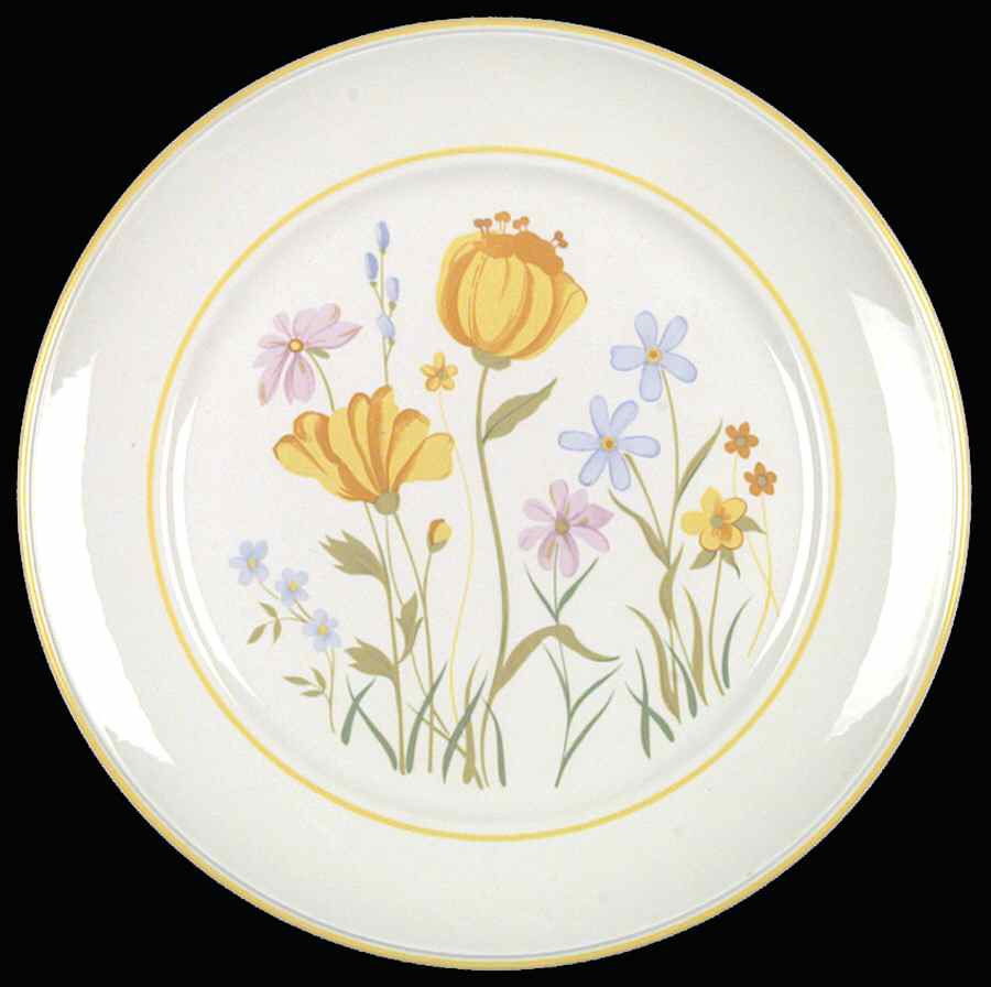 Spring Day Dinner Plate by Johnson Brothers-1