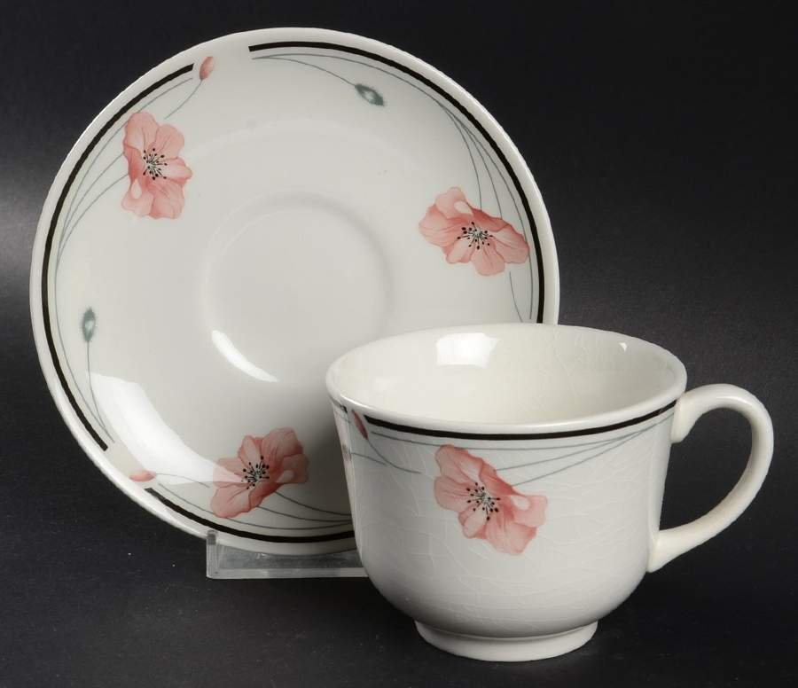 Summerfields Flat Cup & Saucer Set by Johnson Brothers-1