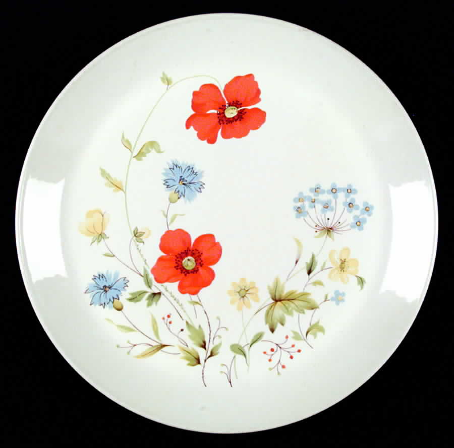 Summertime Dinner Plate by Johnson Brothers-1