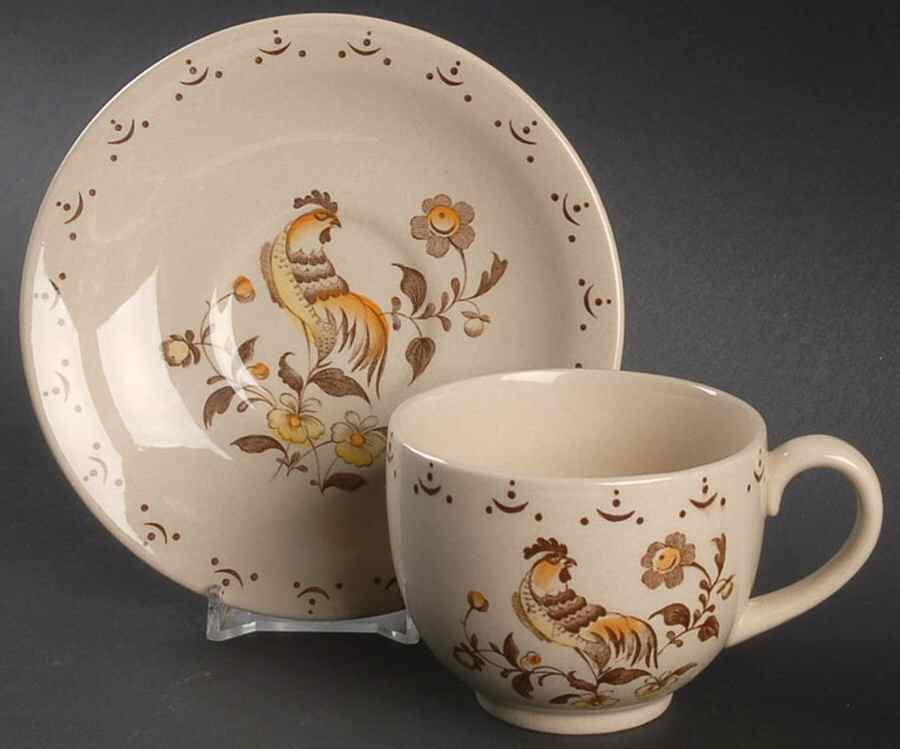 Sun Up Flat Cup & Saucer Set by Johnson Brothers-1