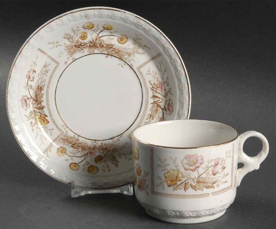 Sylvan Brown Multicolor Flat Cup & Saucer Set by Johnson Brothers-1