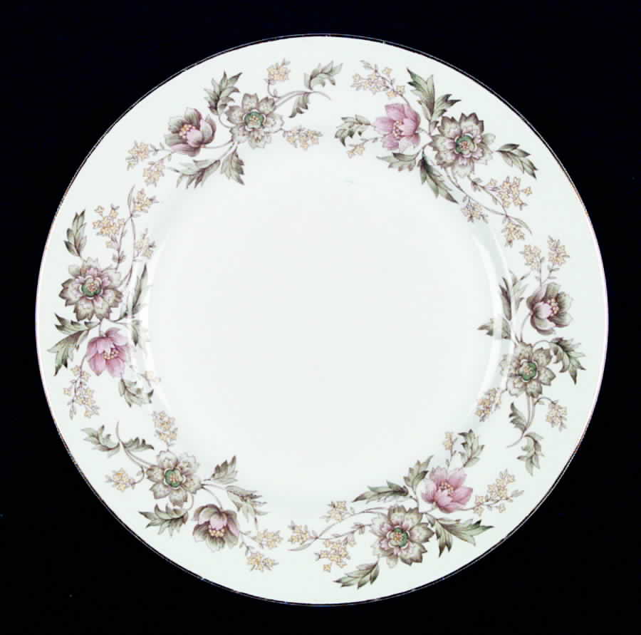 Washington Dinner Plate by Johnson Brothers-1