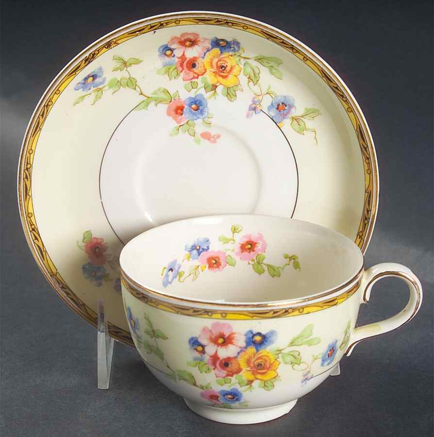 Watteau (Tan Scrolls & Dots Border) Flat Cup & Saucer Set by Johnson Brothers-1