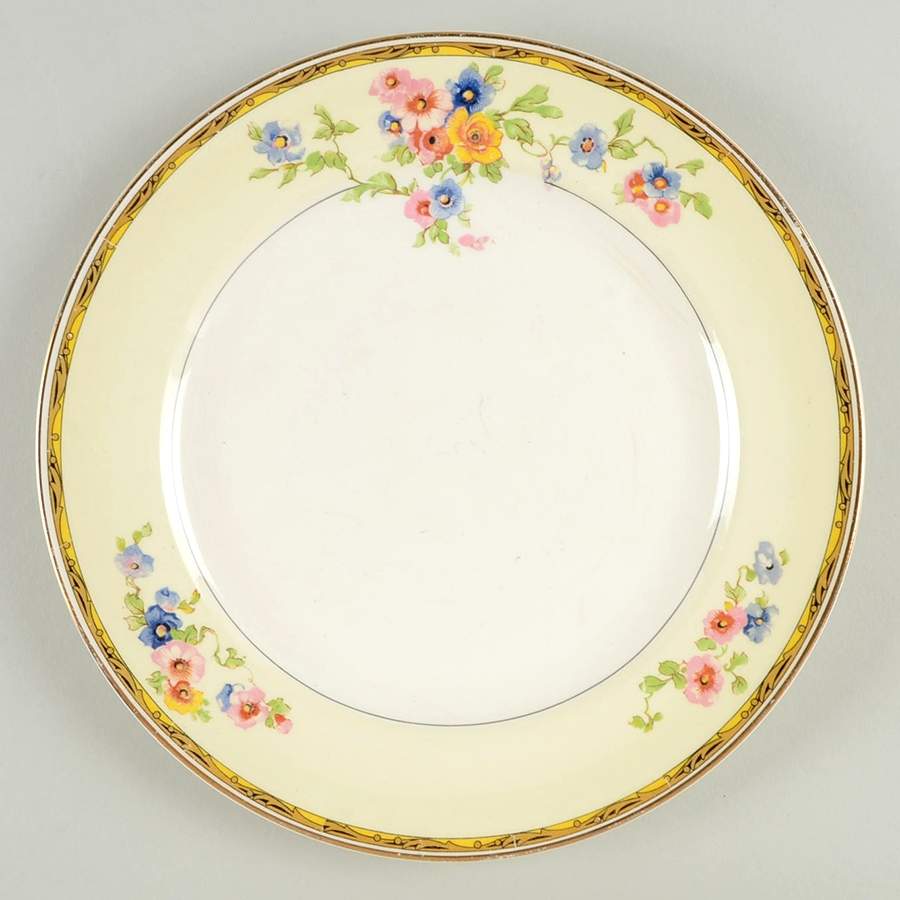 Watteau (Tan Scrolls & Dots Border) Luncheon Plate by Johnson Brothers-1