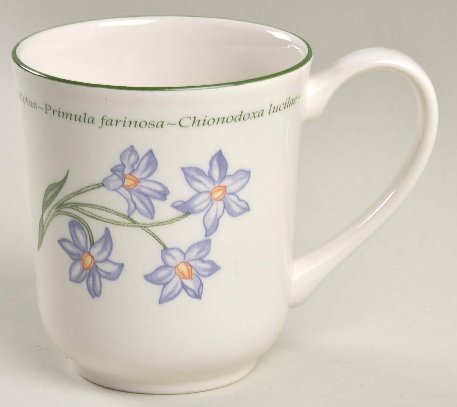Wild Flowers Mug by Johnson Brothers-1