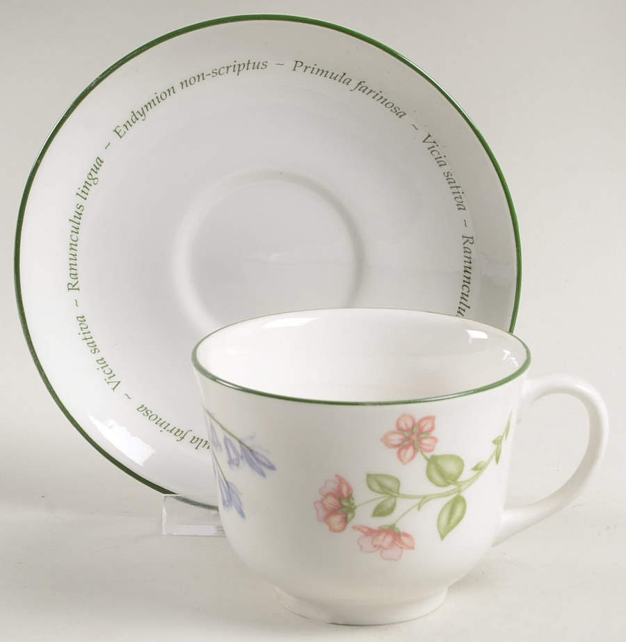 Wild Flowers Footed Cup & Saucer Set by Johnson Brothers-1
